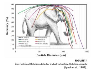 Elephant Curve